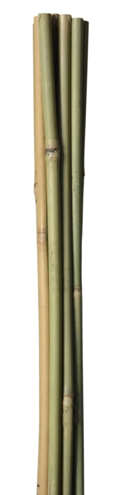 Online Home it Bambuspinne 150 cm 4 stk.