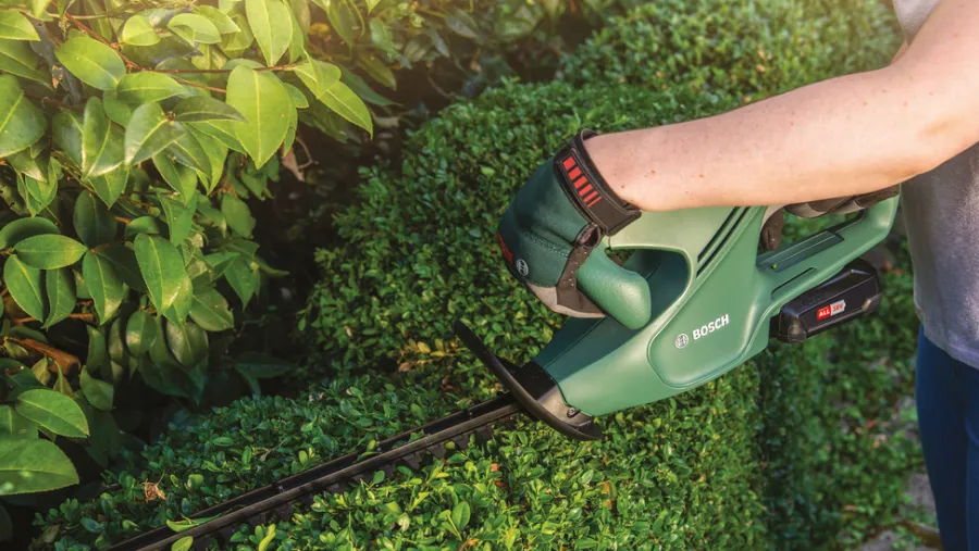 Online Bosch EasyHedgeCut 18-45 hekksaks 18 V 2,0 Ah