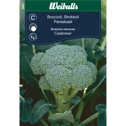 Clearance Weibulls Brokkoli - Calabrese