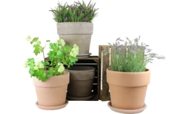 Sale Scan-Pot Calima potte jord Ø31 x H27 cm