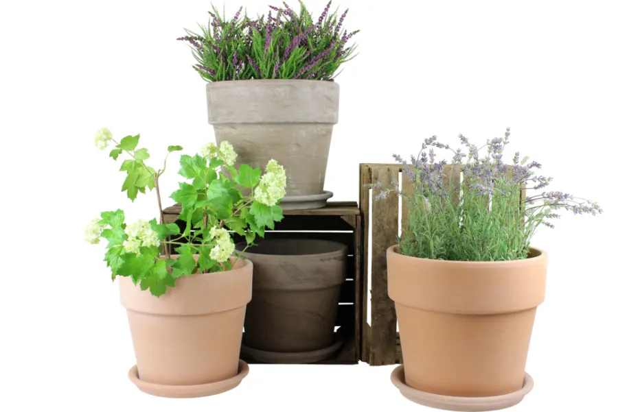Sale Scan-Pot Calima potte jord Ø31 x H27 cm