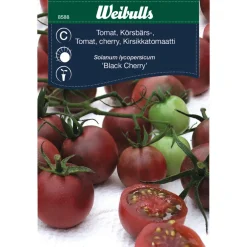 Hot Weibulls Cherrytomat 'Black cherry'