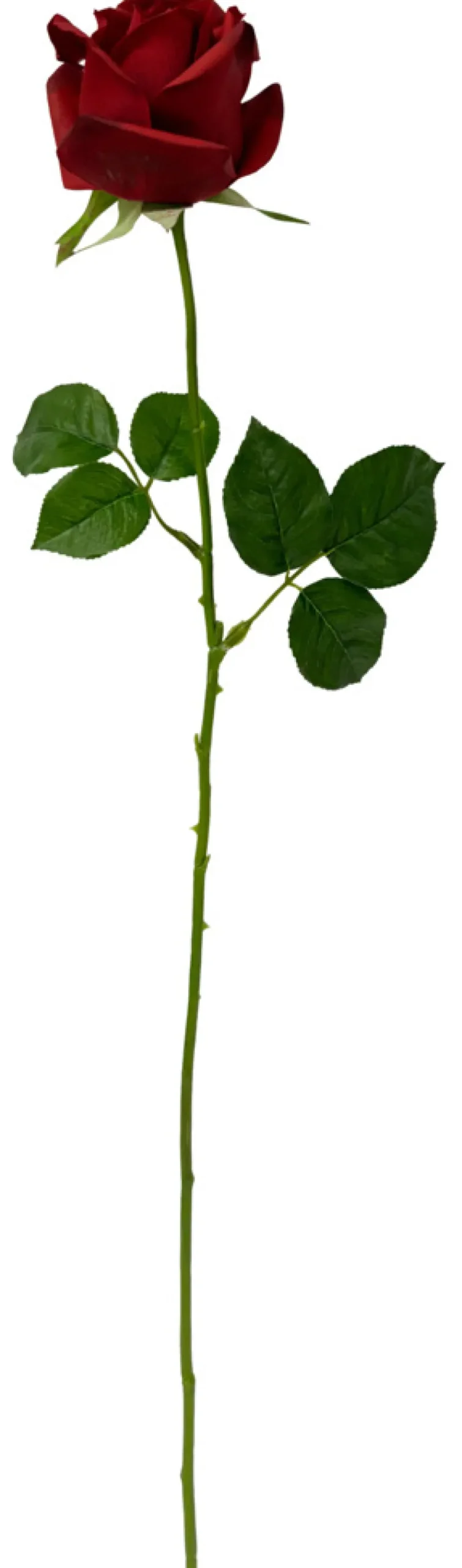 Best GREENIX kunstig rose i cellofan Rød