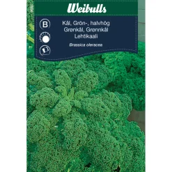 Weibulls Grønnkål 'Westlandse Herfst'