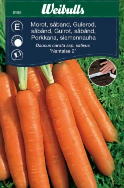 Online Weibulls Gulrot, sommer 'Nantaise 2'