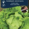 Outlet Weibulls Isbergsalat med såbånd, "Great Lakes"