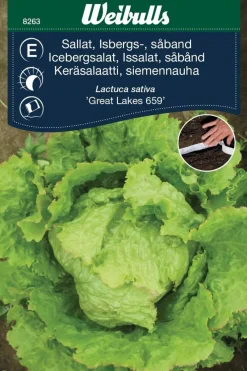 Outlet Weibulls Isbergsalat med såbånd, "Great Lakes"