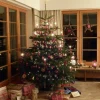 Sale Juletre Edelgran 175-230 cm