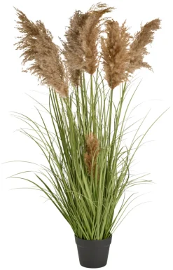 Clearance Kunstgress med ekte pampas 120 cm