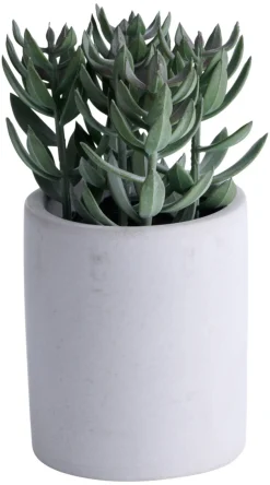 Hot Kunstig plante tetragona H19 cm Grå og grønn