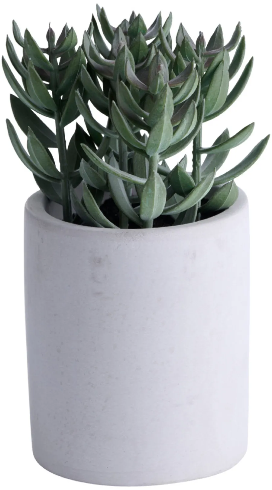 Hot Kunstig plante tetragona H19 cm Grå og grønn