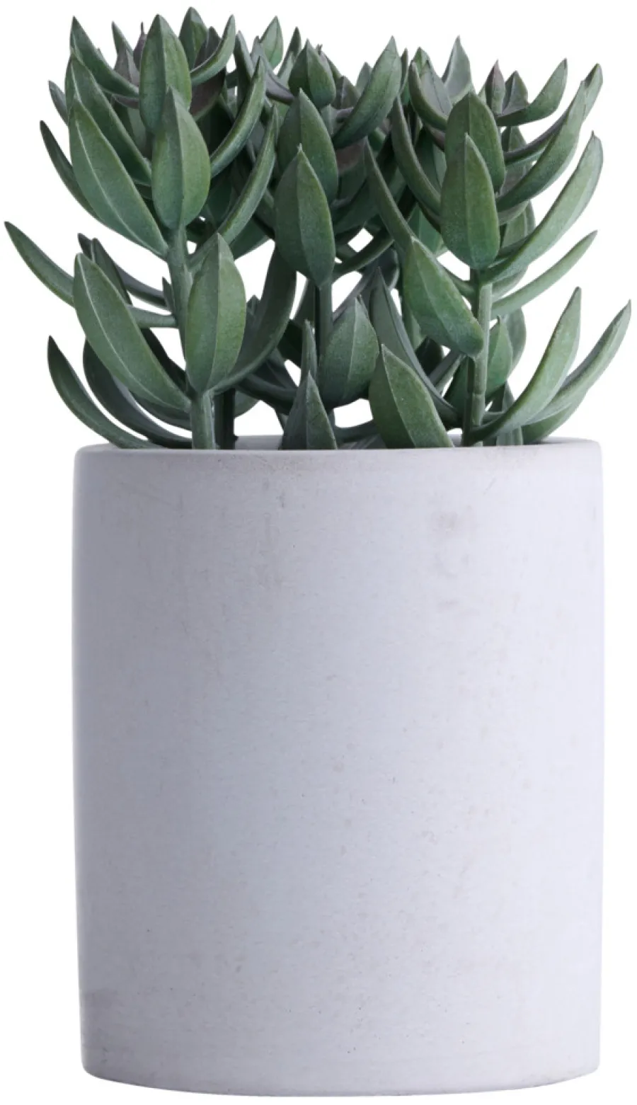 Hot Kunstig plante tetragona H19 cm Grå og grønn