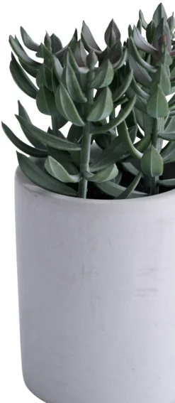 Hot Kunstig plante tetragona H19 cm Grå og grønn