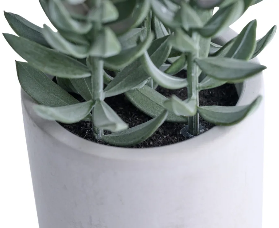 Hot Kunstig plante tetragona H19 cm Grå og grønn