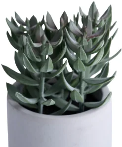 Hot Kunstig plante tetragona H19 cm Grå og grønn