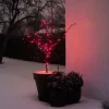 Discount Stemning Lysslynge 100 LED-pærer rød 9,9 meter