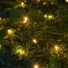 Discount Stemning Lysslynge m/timer 50 LED 4,9 meter