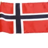 New Festplassen 17. mai flagg 20 x 28 cm