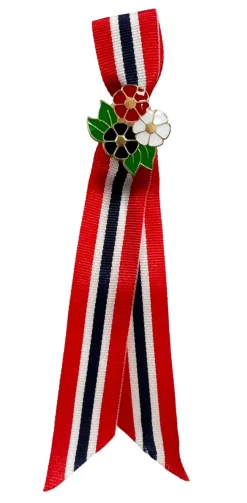 Online Festplassen 17. mai-sløyfe til barn 12 cm.