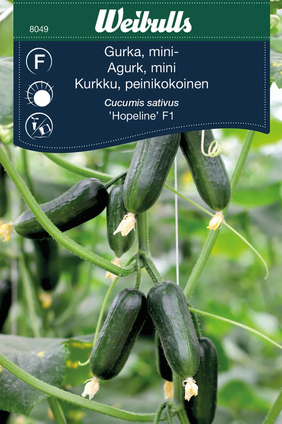 Clearance Weibulls Miniagurk, 'Hopeline F1'