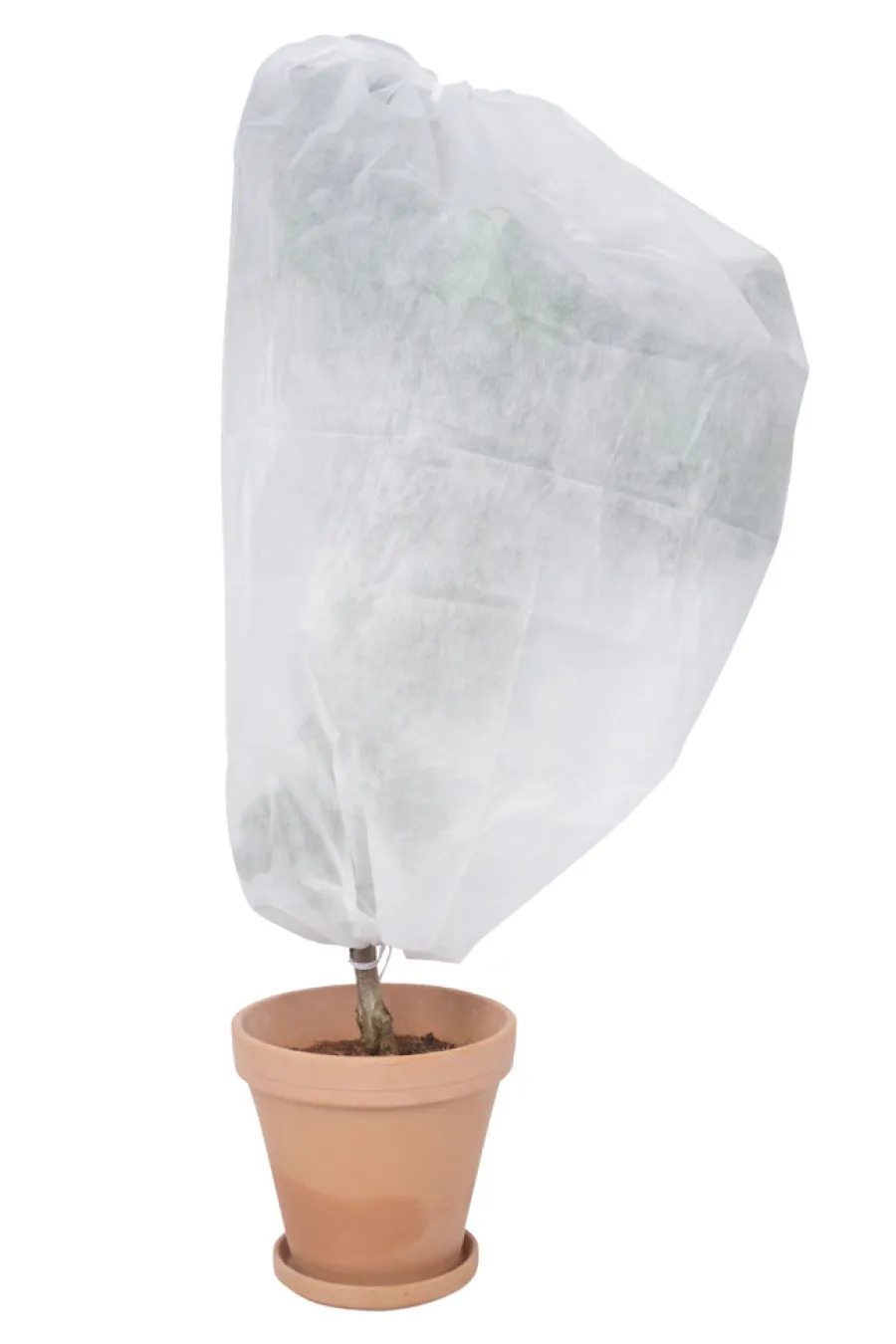 Outlet Garden Plantecover fleece 50 x 100 cm - ®