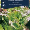 Online Weibulls Plukksalat - 'Amerikanischer Brauner'
