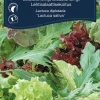 Sale Weibulls Salatblanding 'Baby Leaf'