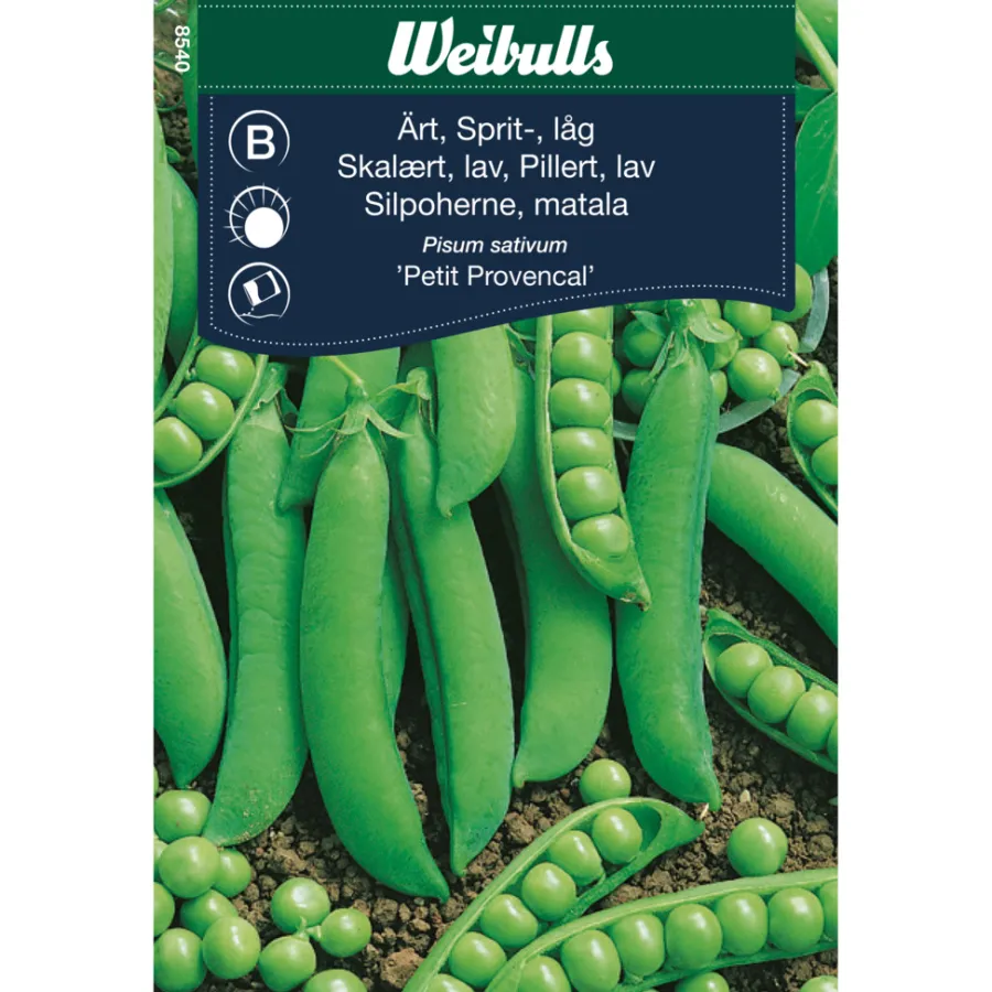 Online Weibulls Skallert, lav 'Petit Provencal'