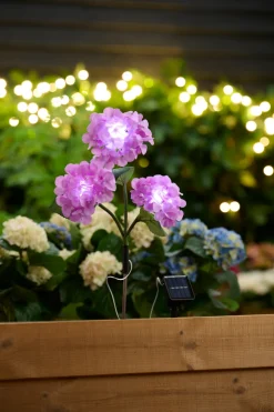 New Garden Solcelleblomst Hortensia – ®
