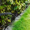 Clearance Garden Svetteslange 1/2" med 2 Lux-koblinger 15 meter – ®