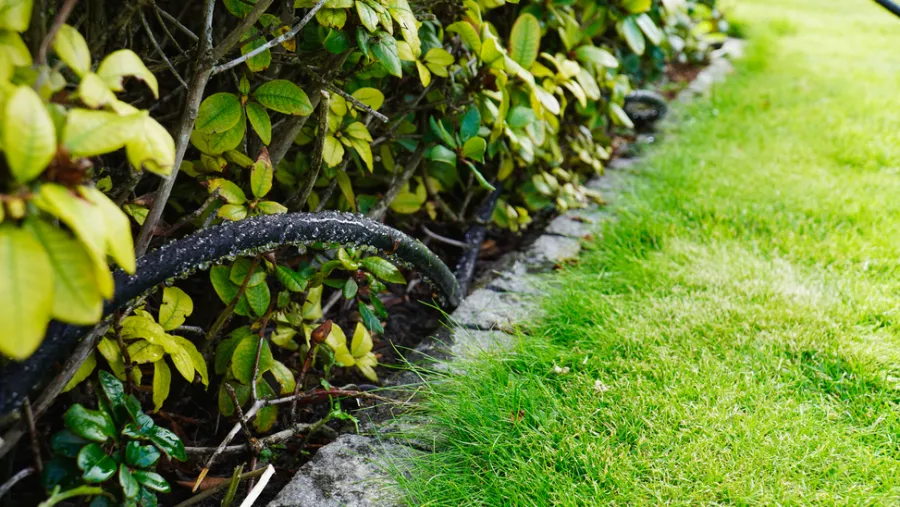 Clearance Garden Svetteslange 1/2" med 2 Lux-koblinger 15 meter – ®