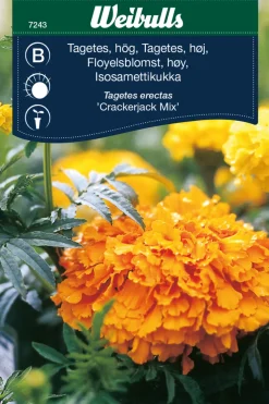 Discount Weibulls Tagetes, høy 'Crackerjack Mix' Gule og oransje nyanser