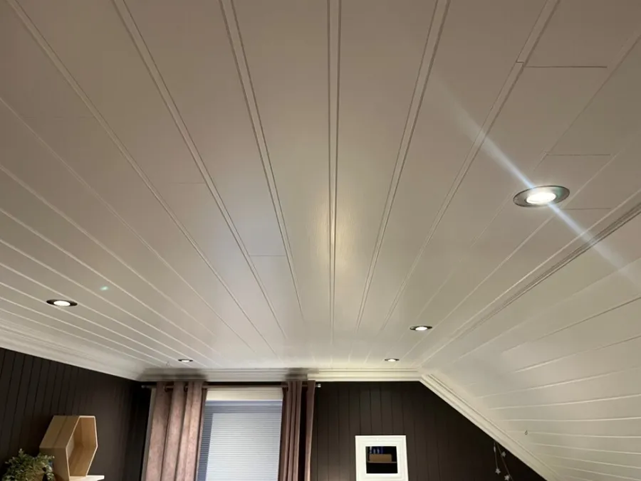 Snapwall Takpanel 10 x 154 x 2400 mm skygge bomull