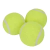 Petzone Tennisball mini til hund 3-pk. -