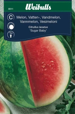 Outlet Weibulls Vannmelon "Sugar baby"