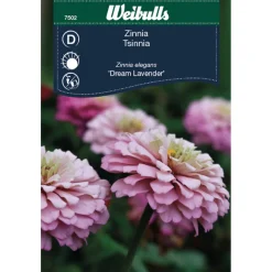 Weibulls Zinnia Elegans 'Dream Lavender'